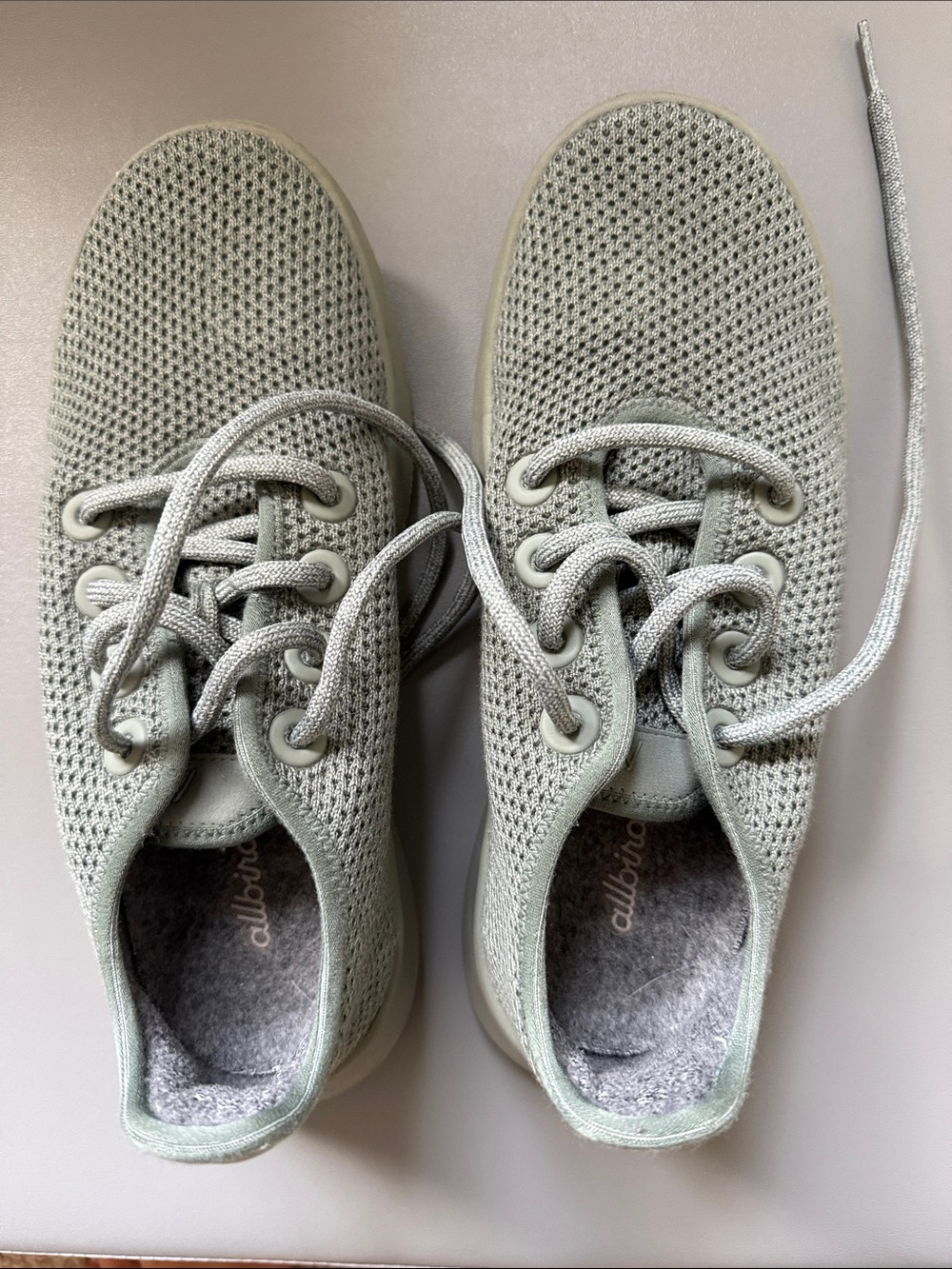 allbirds Women’s Trail Runner Sneakers in Sage Green Knit